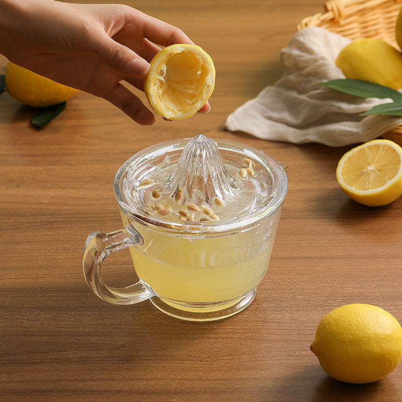 Citrus Juicer Bar - Presse-agrumes manuel créatif en verre pour